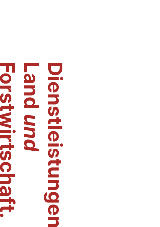 DLUF Logo